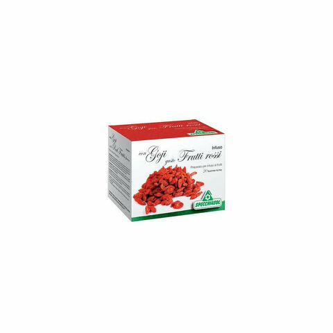 Infuso Goji Frutti Rossi 20 Bustine
